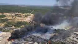 Yanmayan Ormanlar da Madene Kurban Ediliyor