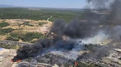 Yanmayan Ormanlar da Madene Kurban Ediliyor