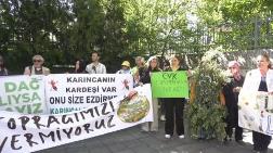 Zeytinliklerin Madenciliğe Açılmasına Meclis Önünde Tepki