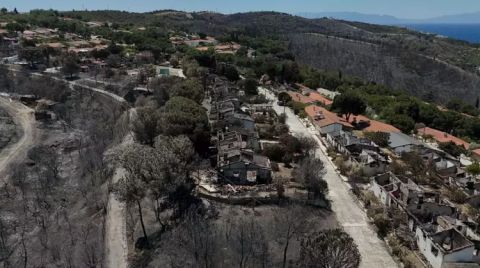 İzmir'de Orman Yangınları Sonrası Yangın Sigortasına Talep Arttı
