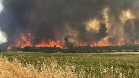 Tekirdağ'daki Yangına 34 Hava Aracıyla Müdahale Ediliyor