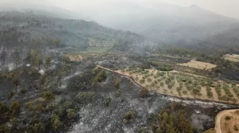 Sakarya'da Orman Yangını 2'nci Gününde