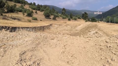 Depremzedeye Haber Vermeden Tarlasını Kazdılar