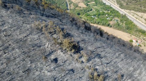 Karabük'te Orman Yangını; 55 Hektar Alan Zarar Gördü