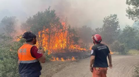 Eskişehir'deki Orman Yangınında 10 Kişi Hayatını Kaybetti