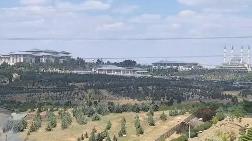 Atatürk Orman Çiftliği'ndeki Arazi Eski Bakanın Üniversitesine Verildi