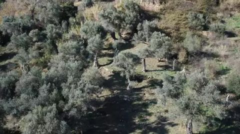 Zeytinliklere Komşu Maden Ocağına 'ÇED Olumlu' Kararı