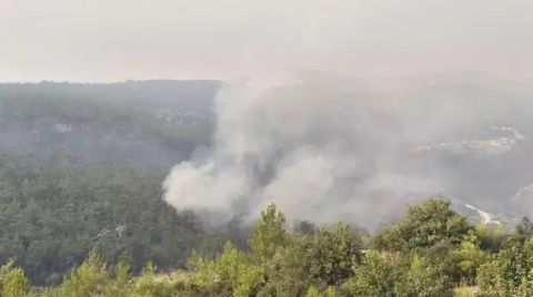 Mersin'in 2 İlçesindeki Orman Yangınlarına Müdahale Sürüyor