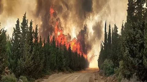 Çanakkale'de Bu Yıl 118 Orman Yangını Çıktı