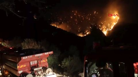 Aydın'daki Orman Yangını 4'üncü Gününde