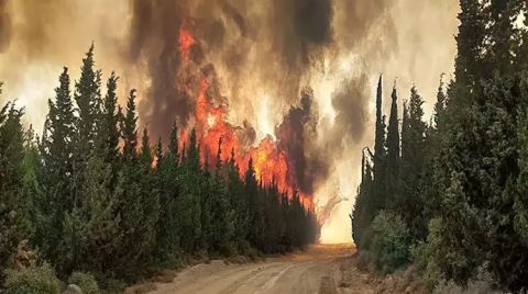 Ormanlar Yanıyor; Kullanılamayacak Ekipmanlara Milyonlar Ödeniyor