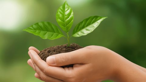 İzocam, Sürdürülebilirlik Raporu Yayınlandı