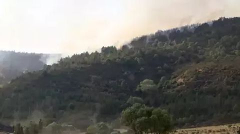 Köylü Direndi; Maden Projesi Durduruldu