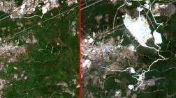 Kazdağları’ndaki Tahribat Uydu Fotoğraflarında