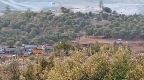 Zeytinlikler Kiraya Taşınıyor