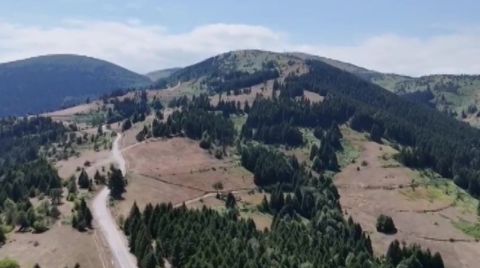 Dürtmen Dağı’nda Mücadele Sürüyor
