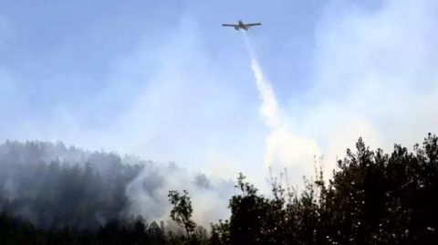 Köyceğiz’deki Orman Yangını 63 Saatte Kontrol Altına Alındı