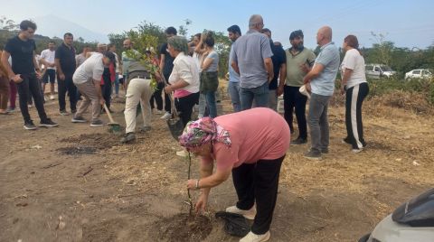 Samandağ’da Kesilen Ağaçların Yerine Mahalleli Fidan Dikti