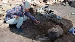 Çayönü Tepesi'nde 8 Mezar Gün Yüzüne Çıkarıldı