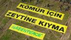 (Fotoğraf: Greenpeace Türkiye)