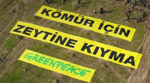 Greenpeace Akbelen’e Destek Kampanyası Başlattı