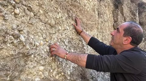 Erzurum'da 200 Milyon Yıllık Deniz Fosilleri Bulundu