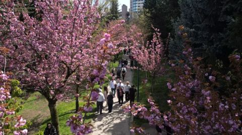 Dikmen Vadisi’nde Yoğunluk Artışına Neden Olacak Plan Değişikliği İptal Edildi
