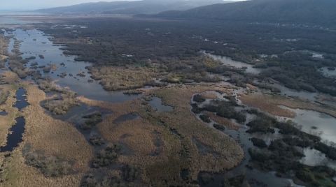 Türkiye’nin 3’üncü Büyük Longozu da Kurudu