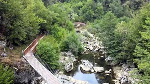 Milli Parklar Yasa Kıskacında