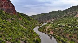 2250 Endemik Bitki Bulunan Bölgede Yapılacak RES’e ‘ÇED Olumlu’ Kararı