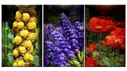 Refik Anadol’un “Büyük Doğa Modeli Türkiye-Flora” İsimli Eseri, Türkiye İş Bankası Resim Heykel Müzesi’nde