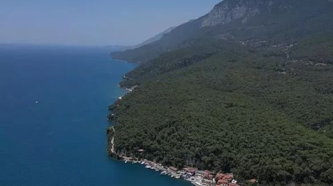 Akyaka Orman Kampı'nın İmarı için İhaleye Çıktılar