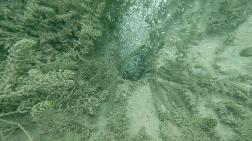 Sapanca Gölü'ndeki Kabarcıklar Endişeye Yol Açtı