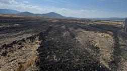 Boş Araziye Arıtma Çamuru Döken Firmaya 48,6 Milyon Lira Ceza