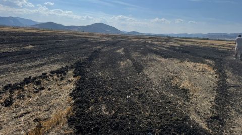 Boş Araziye Arıtma Çamuru Döken Firmaya 48,6 Milyon Lira Ceza