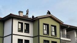 TOKİ Şantiyelerinde Kaçak İşçi Sorunu