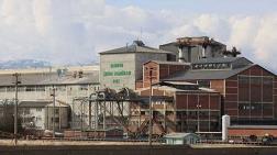 Nato Zirvesi için Ağaçlar Kesiliyor, Endüstri Mirası Yok Ediliyor