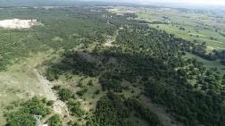 İğneada, Çevre Katliamıyla Karşı Karşıya 