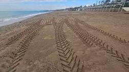 Caretta Yuvası Kumullar, İş Makinesiyle Ezildi