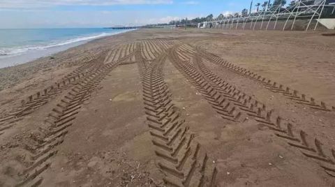 Caretta Yuvası Kumullar, İş Makinesiyle Ezildi