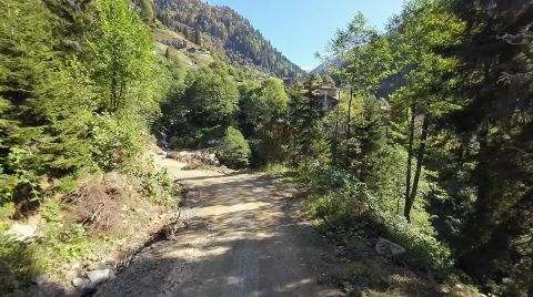 Karadeniz'de Yağış Değişimi Alarmı; Orman Varlığı Gençleştiriliyor