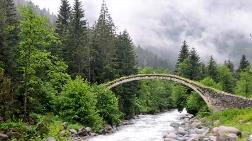 “İklim Değişikliğiyle Mücadelede En Etkin Silah Ormanlar”