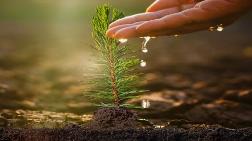 İzocam, 60. Yıl Hatıra Ormanı Oluşturuyor