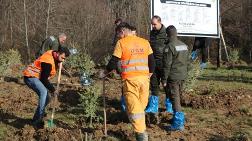 Bolu'daki Yangın Faciasında Ölen 78 Kişi için Hatıra Ormanı
